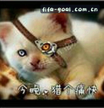 周浩